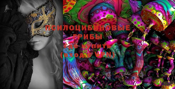 прущая мука Абаза