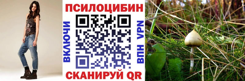 даркнет состав  Щучье  Галлюциногенные грибы GOLDEN TEACHER 